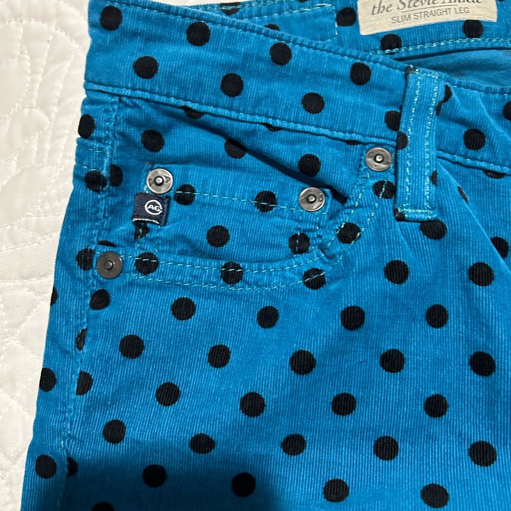 AG Brand Stevie Ankle slim/straight leg polka dot cords 26R. - Picture 3 of 5